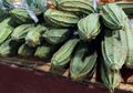 Oyong, Sayuran Mirip Timun yang Kaya Akan Vitamin, Pernah Coba?