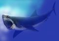 Peneliti Menemukan Sebab Lain Punahnya Hiu Megalodon, Cari Tahu, yuk!