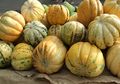5 Buah-buahan ini Cocok untuk Berbuka Puasa, Mana yang Kamu Suka?