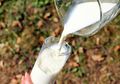 Benarkah Beberapa Orang Tidak Bisa Minum Susu? Yuk, SImak 4 Faktanya!