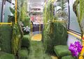 Ajaib! Saat Memasuki Bus Ini, Kita Akan Memasuki Sebuah Hutan