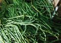 Kacang Panjang, Bisa Membantu Kita Lebih Semangat dalam Belajar
