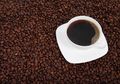 Wah, 3 dari 5 Spesies Tanaman Kopi Liar Berisiko Terancam Punah!