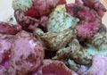 Tegal Punya Oleh-Oleh Unik dan Lezat, Namanya Kerupuk Antor