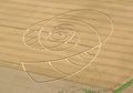 Crop Circle, Lukisan Raksasa di Tanah yang Menyimpan Banyak Misteri