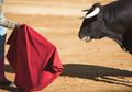 Benarkah Banteng Marah Jika Melihat Warna Merah?
