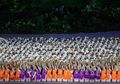 Harus Ganti Baju dengan Cepat di Pembukaan Asian Games 2018, Ini Rahasia Para Penari