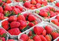 Suka Makan Buah dan Sayur Berwarna Merah? Ini Kandungan Nutrisinya