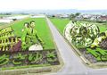 Tanbo Art, Seni Melukis Sawah Menjadi Warna-warni Menggunakan Padi