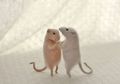 Yuk, Melihat Miniatur Hewan Lucu yang Dibuat dari Benang Wol