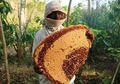 Pergi ke Flores? Jangan Lupa Beli 5 Oleh-oleh Unik Khas Flores, Ya!