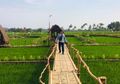 Bulak Widoro, Berfoto di Tengah Hamparan Sawah dan Warna-warni Bunga