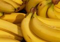 6 Manfaat Buah Pisang yang Jarang Diketahui, Bisa Menenangkan Pikiran Juga, lo!