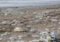 Wah, Ternyata 5 Benda Ini Menjadi Jenis Sampah Terbanyak di Bumi, lo!