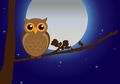 Coba Buat Animasi Sederhana Burung Hantu, Belajar Bersama, Yuk!