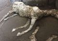 Ditemukan Sisa-Sisa Bencana Alam Gunung Meletus di Pompeii, Apa Saja?