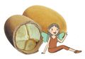 Inilah Buah Super Kebanggan Brasil yang Istimewa, Pernah Mencobanya?