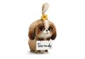 Ini Karakter Terbaru The Secret Life of Pets 2, Kenalan, yuk!