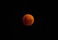 Ada Super Blood Wolf Moon pada 21 Januari 2019, Seperti Apa Fenomena Ini?