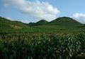 Wah, di Yogyakarta Ada Lokasi Wisata Mirip Bukit Teletubbies, lo!