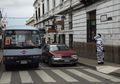 Di Kota Ini, Ada Zebra yang Mengatur Lalu Lintas di Jalan yang Padat, lo!