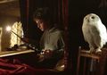 Ini 7 Nama di Buku Harry Potter dari Istilah Astronomi #akubacaakutahu