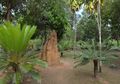 Taman Nasional Wasur, Keunikan di Ujung Timur Republik Indonesia