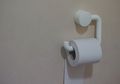 Sering Salah, Ternyata Ini Cara Menggantung Tisu Toilet yang Benar!