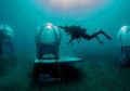 Keren, Ada Kebun Bawah Laut Pertama di Dunia! Tertarik Berkunjung?