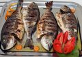 Makan Ikan Baik untuk Tubuh, Apakah Kita Boleh Makan Ikan Setiap Hari?