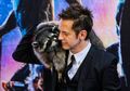 Kisah Oreo, Rakun Inspirasi Rocket Raccoon di Guardian of the Galaxy