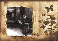 Cerita Misteri: Petualangan di Wisteria Lodge (6) Menuju Wisteria Logde