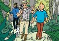 Pernah Membaca Komik Petualangan Tintin? Ini Dia Penulis dan Pelukisnya #AkuBacaAkuTahu