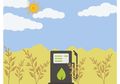 Apa Itu Biofuel? Inilah Pengertian Biofuel dan Jenis-jenisnya