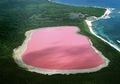 Seperti Permen Karet, Danau Hillier di Australia Berwarna Merah Muda