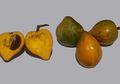 Campolay, Buah yang Mirip Ubi Rebus