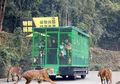 Pengunjung Kebun Binatang yang Dikerangkeng