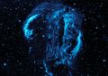 Cygnus Loop, Nebula Berbentuk Kepala