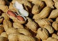 Kacang Tanah, Sebenarnya Bukan Kacang! Jadi Apa, ya?