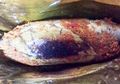 Ternyata, Cara Pengolahan Ikan Memengaruhi Nutrisinya