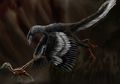 10 Dinosaurus Berbulu yang Diyakini Sebagai Nenek Moyang Burung