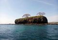 Pulau Ular Laut di Nusa Tenggara Barat