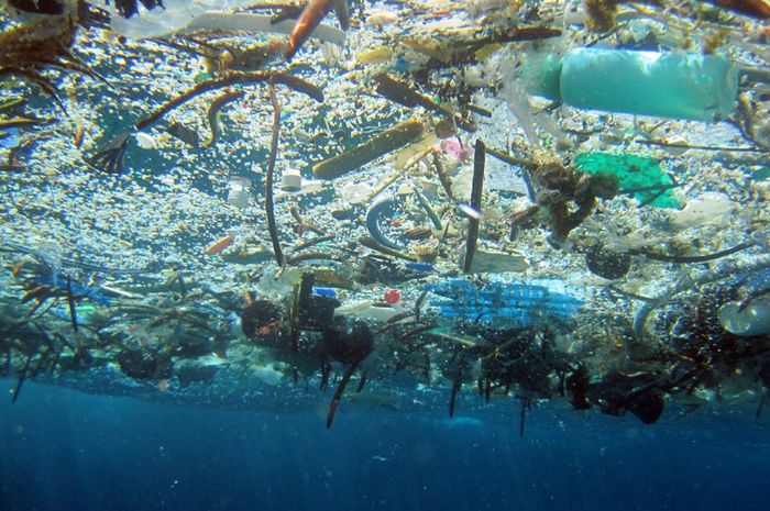 Hasil gambar untuk sampah plastik yang ada di laut