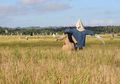 Apakah Orang-orangan Sawah Benar-Benar Bisa Menakuti Hama Hewan?