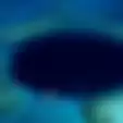 Terungkap, Ini Isi Great Blue Hole, Salah Satu Lubang Laut Terdalam. Ada Aquaman Nggak Ya?