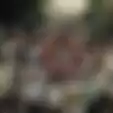 Rich Brian Ajak Keluarga Besarnya Tampil di Video Teaser Album The Sailor