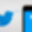 Twitter Himbau Para Pengguna Dengan Android Melakukan Update