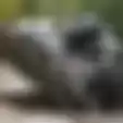 Spek Tank Marder IFV Untuk Ukraina, Kendaraan Amfibi Anti-Nuklir Penghancur Tank