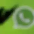 WhatsApp Rilis Versi Mac dengan Fitur Panggilan Grup yang Dinanti