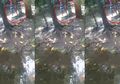 Hanya Karena Rp.50.000, Kakek Ini Rela Cucunya Digigit Monyet